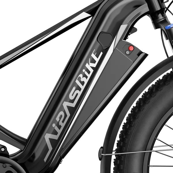 Aipas M2 Xterrain Ebike Aipas-M2-black Baskets.