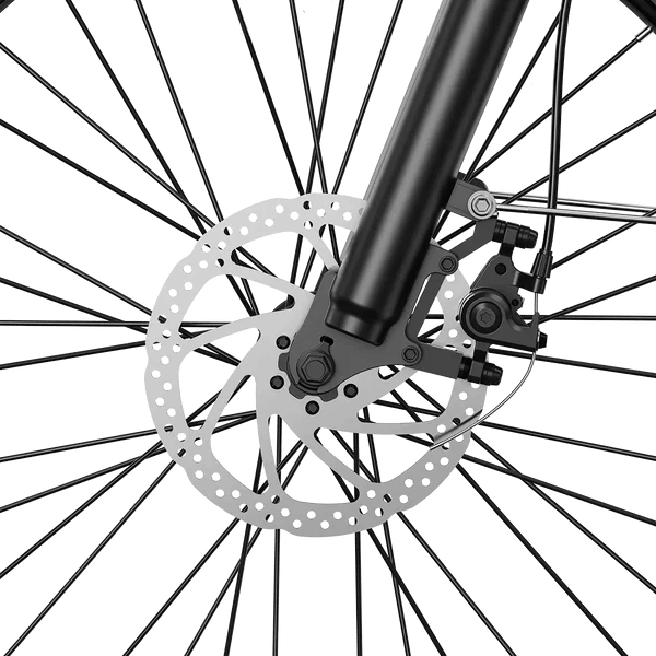 Aipas M2 Xterrain Ebike Aipas-M2-black Baskets.